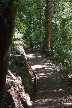 IMG_8695