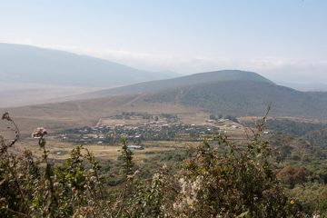 IMG_6510