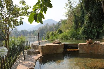 IMG_0557.jpg
