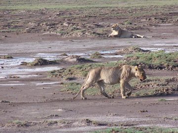 100_1194.jpg