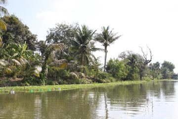 IMG_0196.jpg