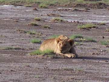 100_1200.jpg