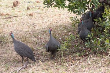 IMG_7708