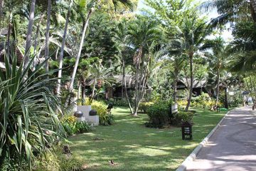 IMG_0800.jpg