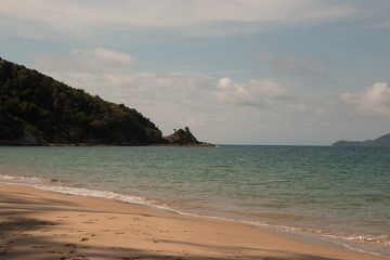 IMG_9593