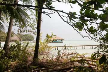 IMG_5491
