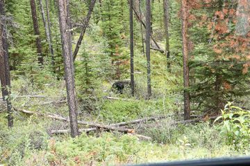 IMG_0080
