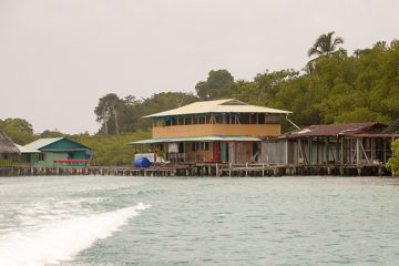 IMG_5325