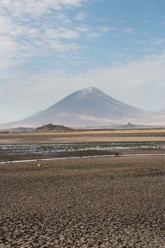 IMG_6890