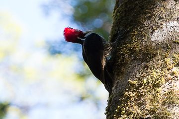 IMG_8690