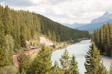 IMG_0541