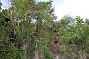 IMG_0420.jpg