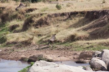 P-IMG_6891-2