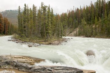 IMG_0125