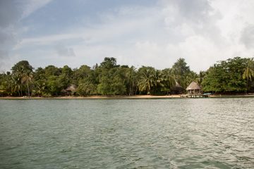 IMG_5439