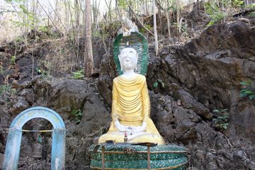 IMG_0474.jpg