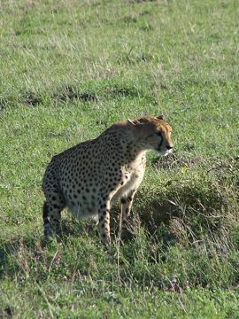 100_1573.jpg