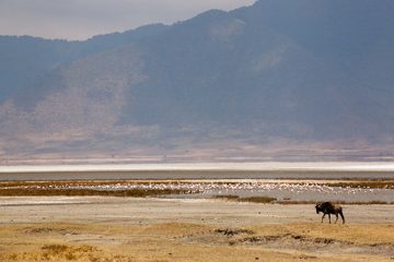 P-IMG_6439-2