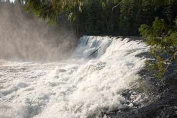 IMG_9979