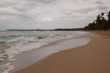 08032013-3-2.jpg