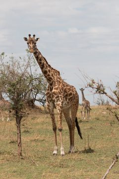 IMG_7362