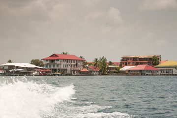 IMG_5313