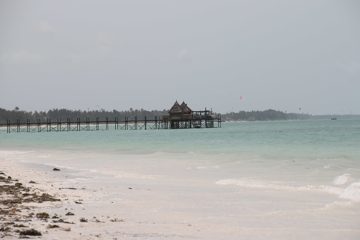 IMG_7839