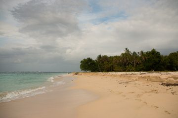 IMG_5565