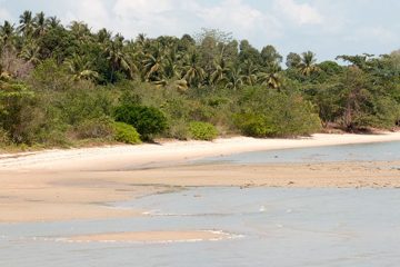 IMG_1186