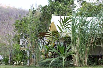 IMG_0444.jpg
