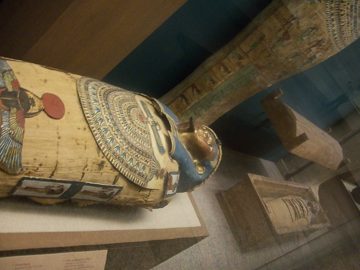 100_0392.jpg