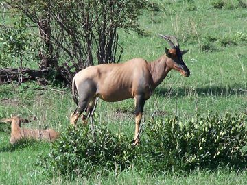 100_1527.jpg