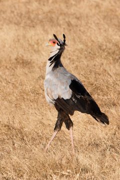 IMG_6399