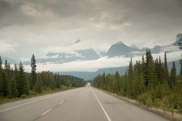 IMG_0116