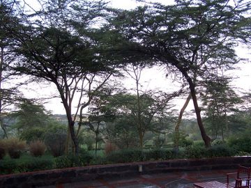 100_1457.jpg