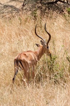 P-IMG_6494-2