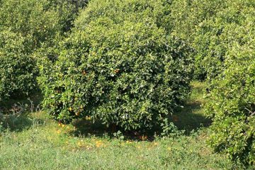 100_2139.jpg