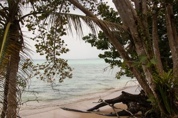 IMG_5496