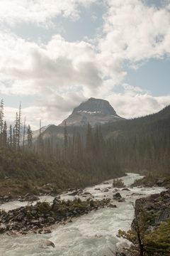 IMG_0494
