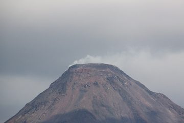 IMG_2638.jpg
