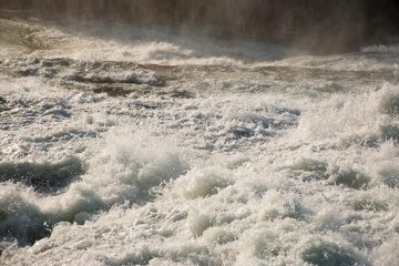 IMG_9974