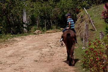 08032013-31.jpg