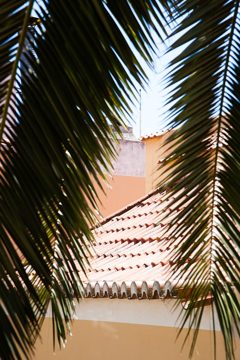 22072012-108.jpg