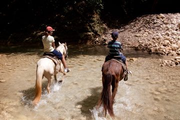 08032013-10.jpg