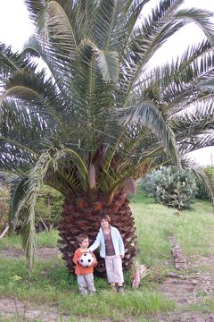 100_2151.jpg