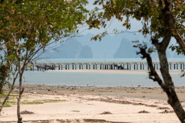 IMG_1174