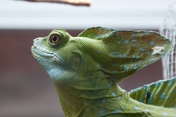 25022012-64-2.jpg