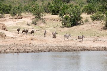 IMG_7671
