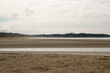 IMG_0698