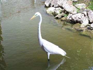 100_2680.jpg